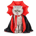 Capa de Vampiro para Mascota – Halloween · vista adicional 1