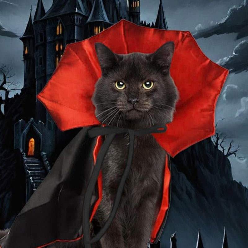 Capa de Vampiro para Mascota – Halloween · vista adicional 4