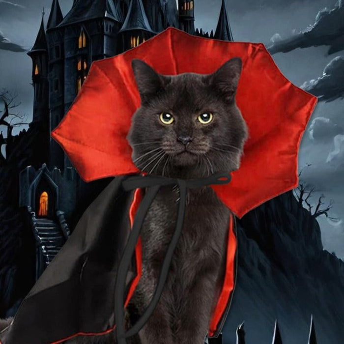 Capa de Vampiro para Mascota – Halloween · vista adicional 4