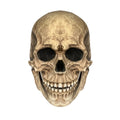 Máscara de Calavera con Boca Móvil – Halloween, Colores y Packs