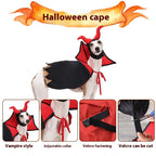Disfraz de Vampiro para Mascota – Capa + Sombrero · detalle real 2